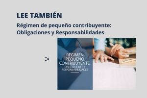 Pequeño contribuyente Obligaciones